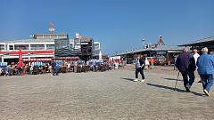 Sylt (97)